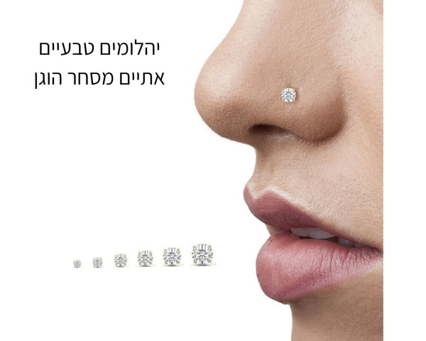 נזם מונה יהלום זהב 14 קראט